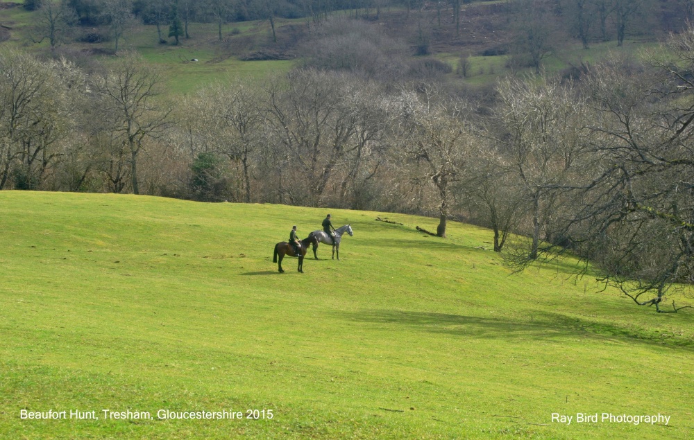 Beaufort Hunt, Tresham Gloucestershire 2015