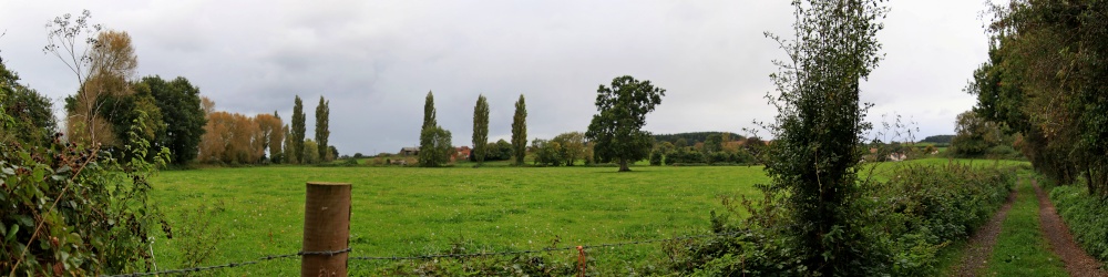Otter Valley from Frogmore