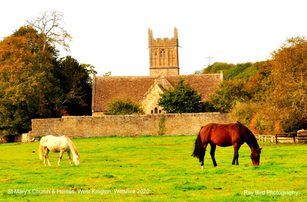St Mary's Church & Horses, West Kington, Wiltshire 2020