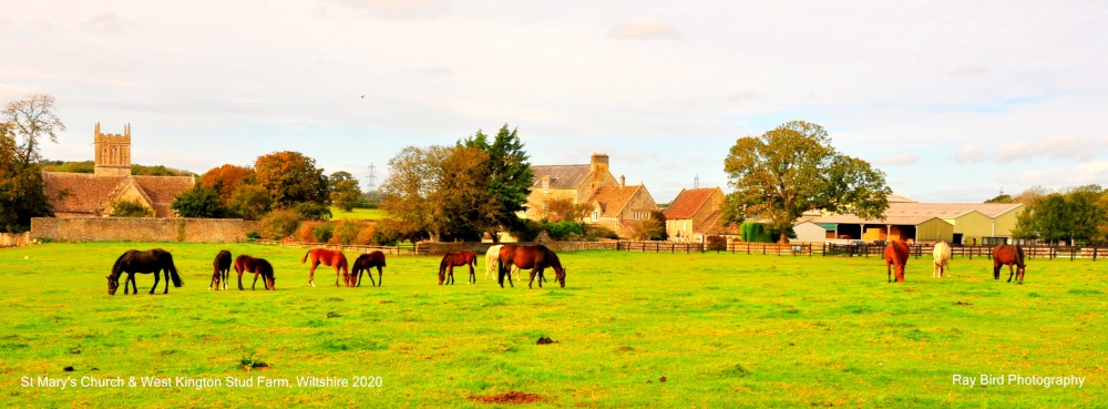 St Mary's Church & Horses, West Kington, Wiltshire 2020