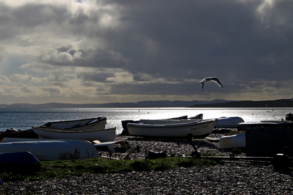 Budleigh reflections