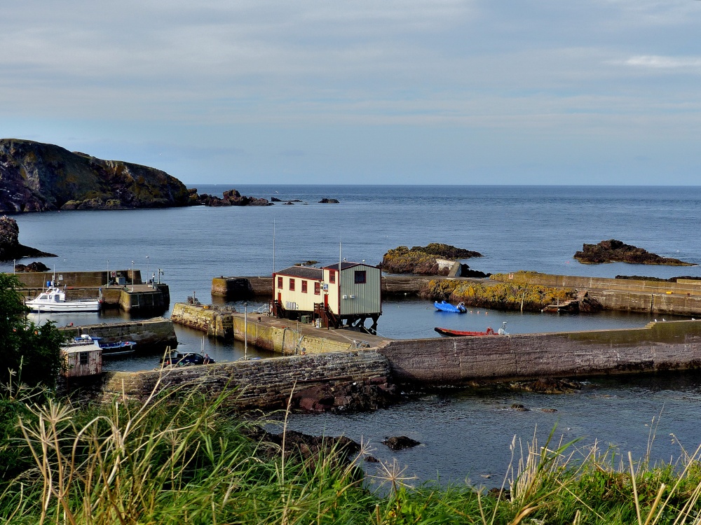 Photograph of St Abbs Harbour and Lifeboat Station