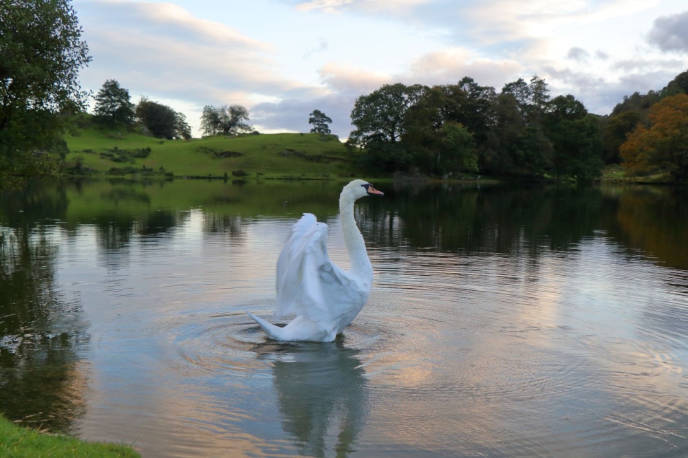 Photograph of Loughrigg Tarn