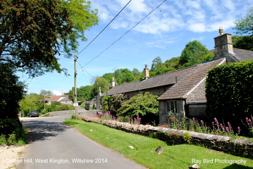 Drifton Hill, West Kington, Wiltshire 2014