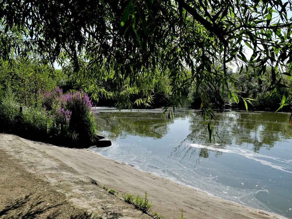 Ferrymoor Flash, Grimethorpe