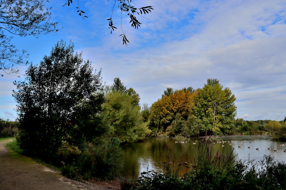Ferrymoor Flash Grimethorpe