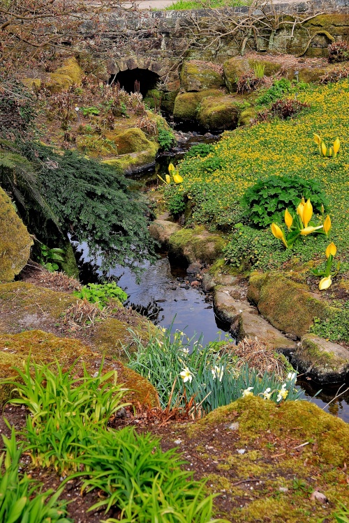 Water Gardens RHS Harlow Carr Gardens