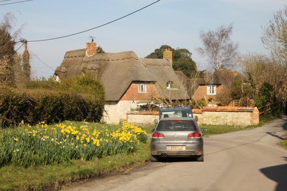 A fine display of Spring daffodils enhance High Street in Bishopstone