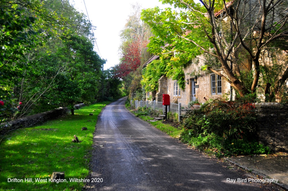 Drifton Hil, West Kington, Wiltshire 2020