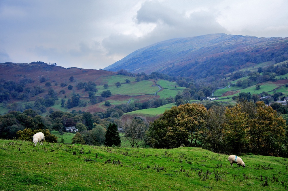 Loughrigg Fell, Ambleside