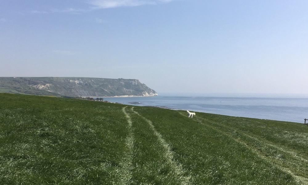 Photograph of Osmington Mills footpath to Ringstead