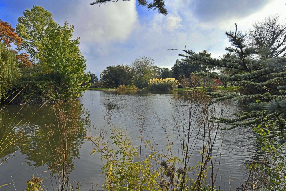 Dumbleton Hall Estate