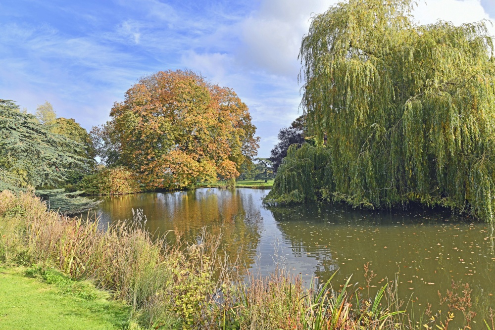 Dumbleton Hall Estate