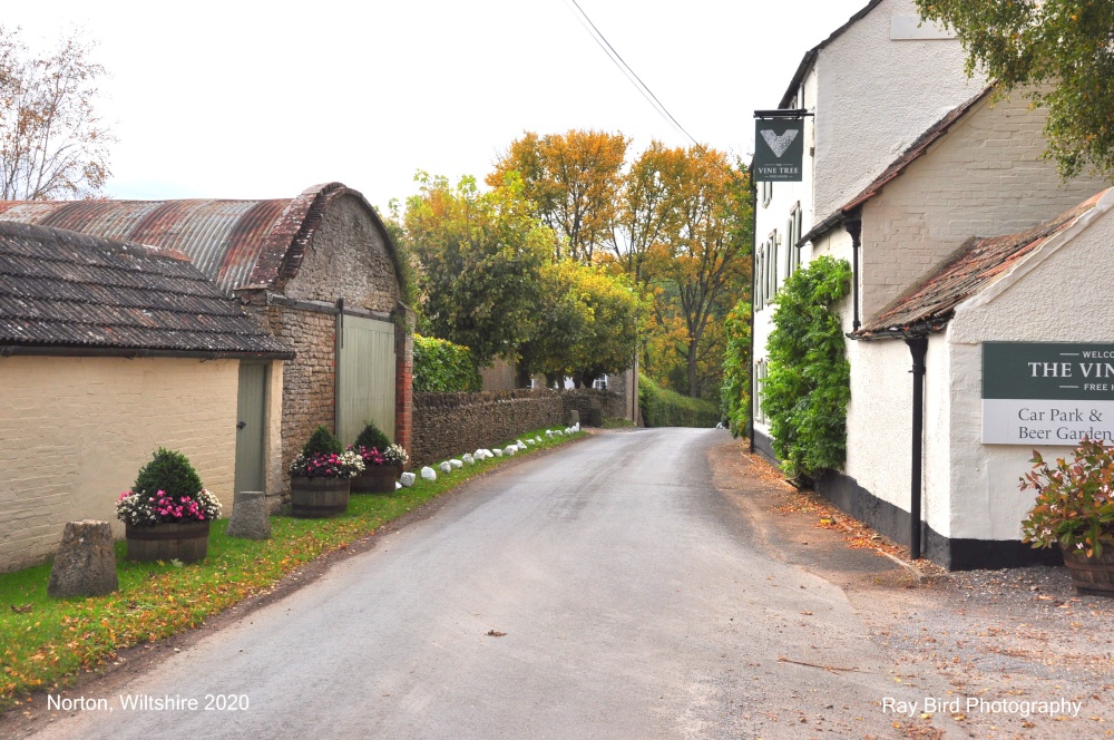 Norton, Wiltshire 2020