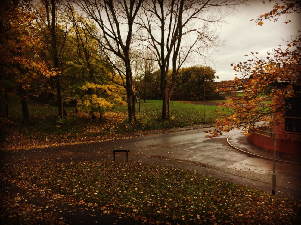 Autumn in Royton