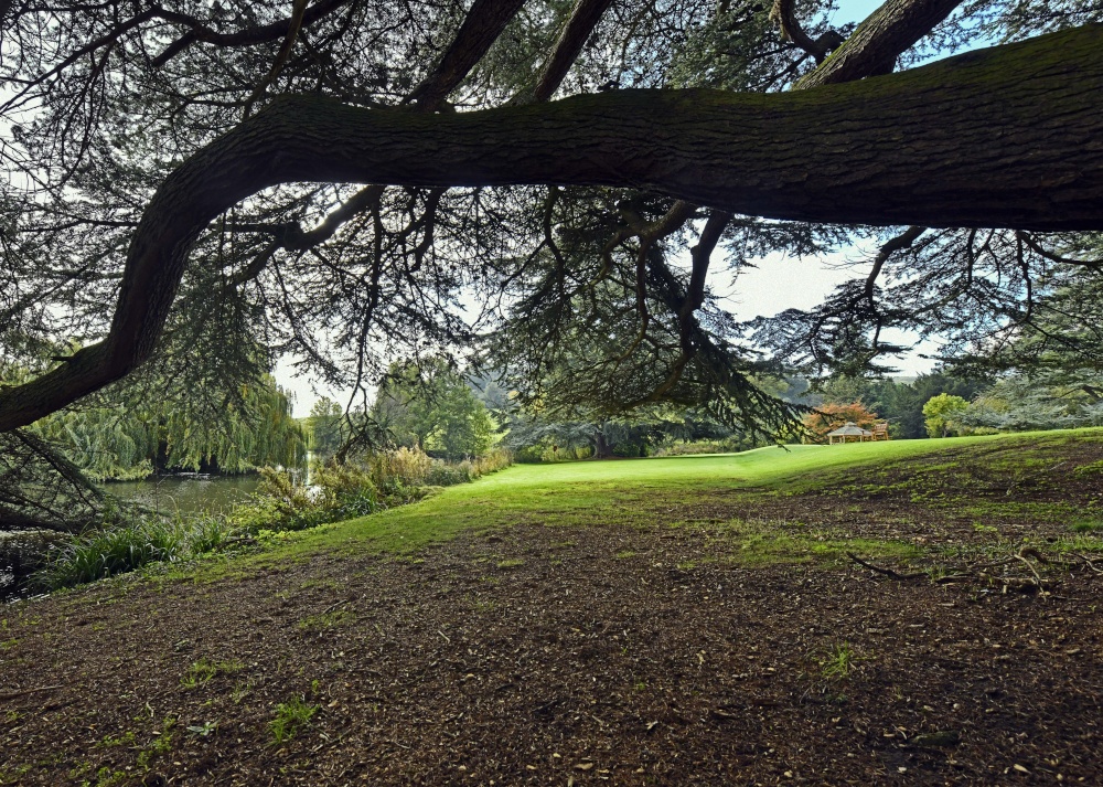 Dumbleton Hall Grounds
