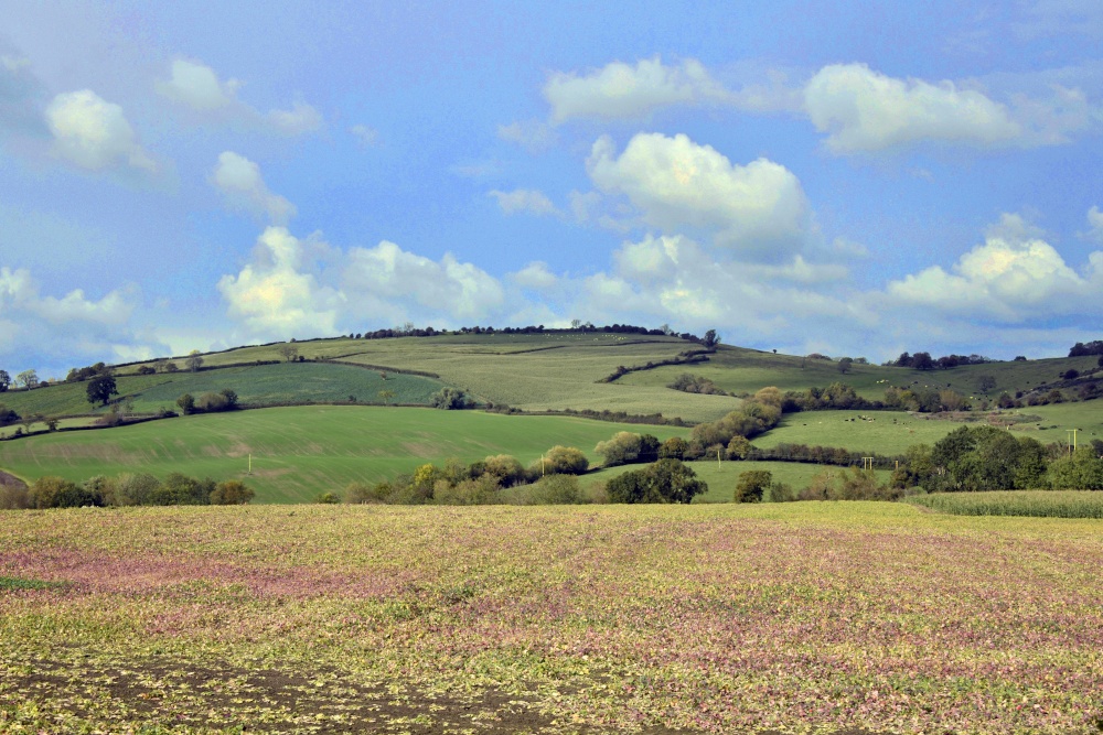 View near Gotherington