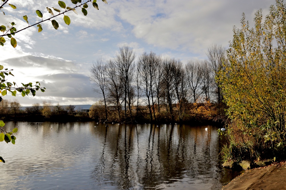 Ferrymoor Flash Grimethorpe