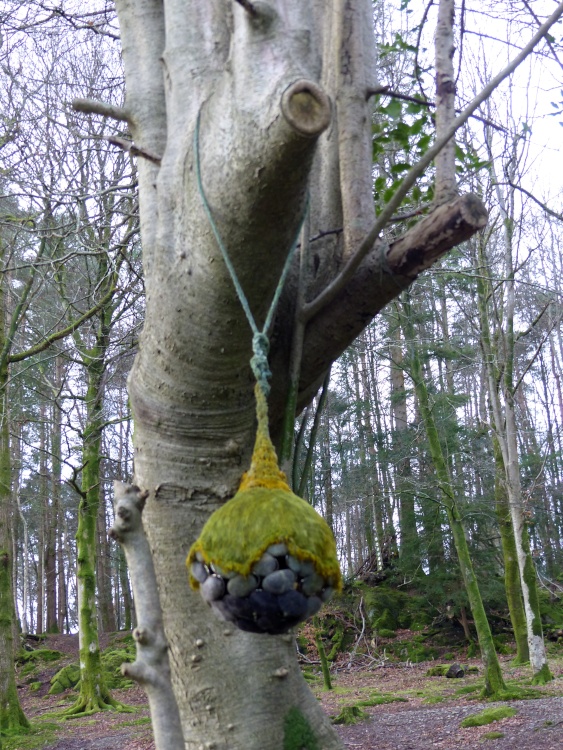 Rydal Hall Grounds Art installation