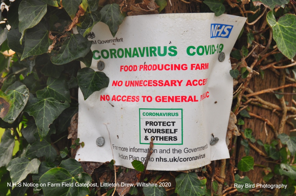 N.H.S Notice, Littleton Drew, Wiltshire 2020