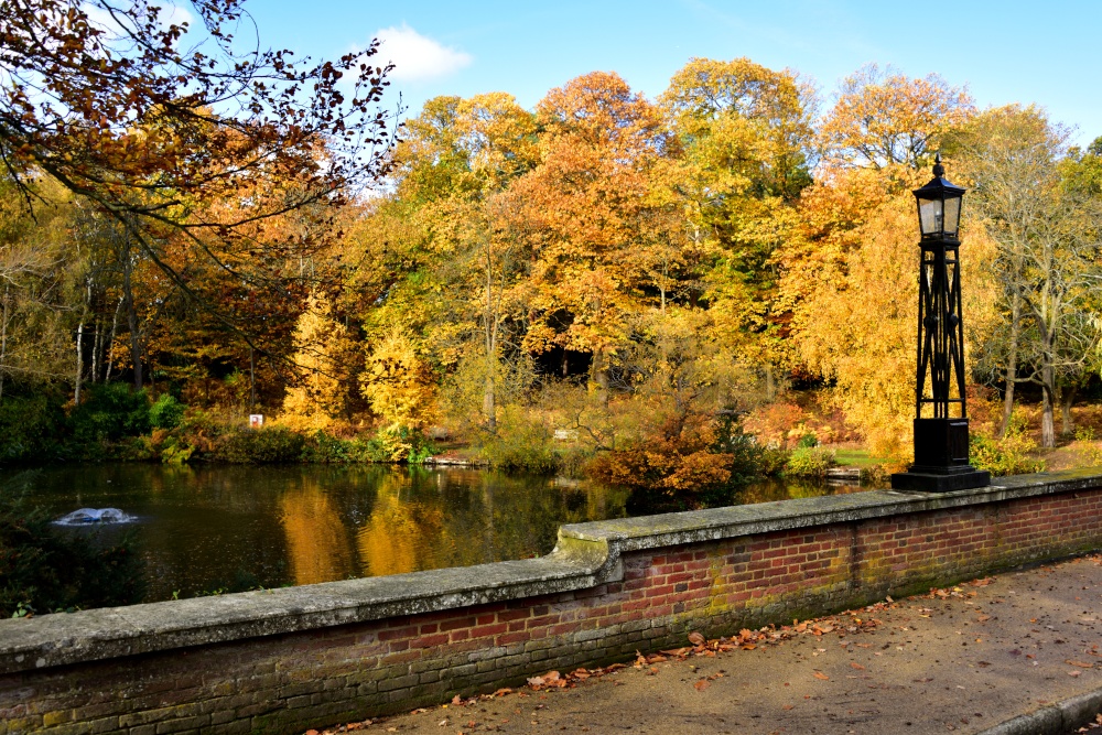 Autumn View Across the Lake, from the Bridge