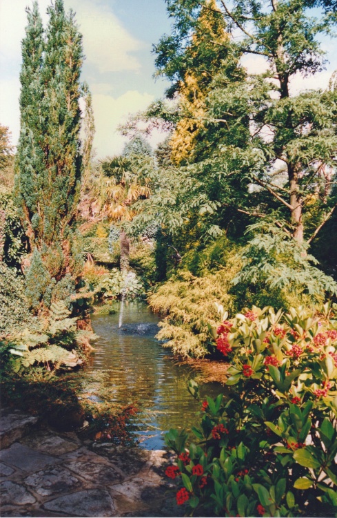 Compton Acres Garden