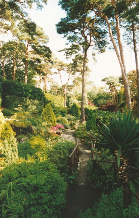Compton Acres Garden
