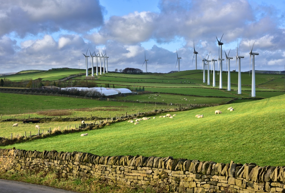 Royd Moor Windfarm View with Sheep
