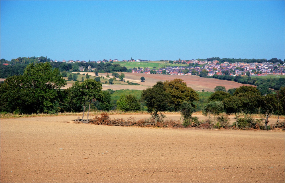 View Towards Birdwell from Rockley Lane