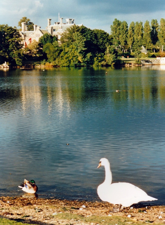 Beaulieu Palace House Grounds