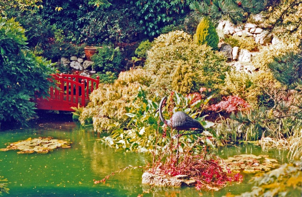 Compton Acres Garden