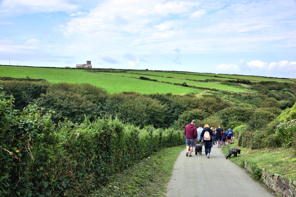 To Reach Tintagel Castle Walk Down the Vale of Avalon