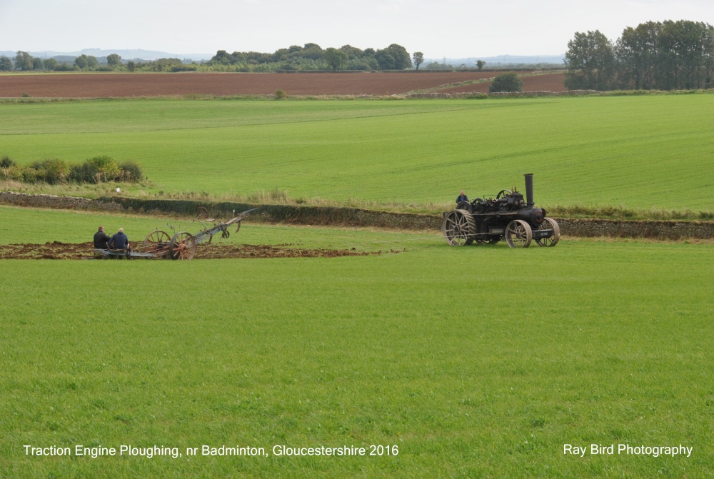 Traction Engine Ploughing, nr Badminton, Gloucestershire 2016