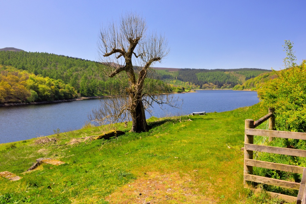 Towards the Western End of Ladybower, from the Snake Pass