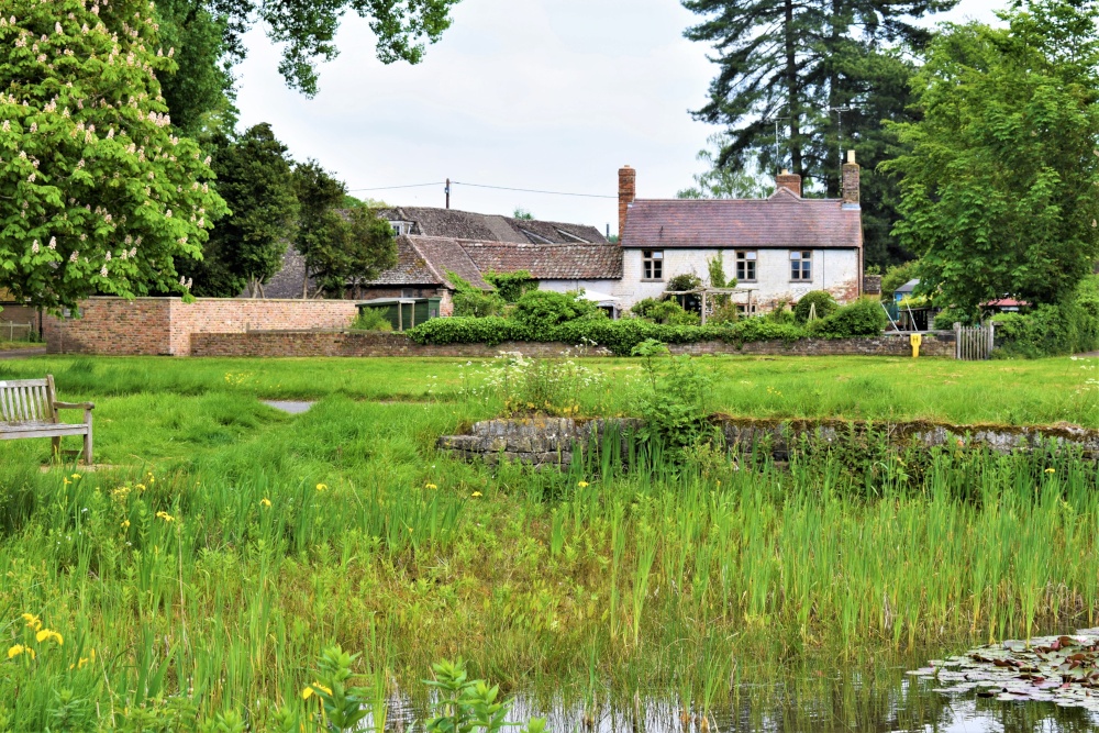 One of the three village ponds.