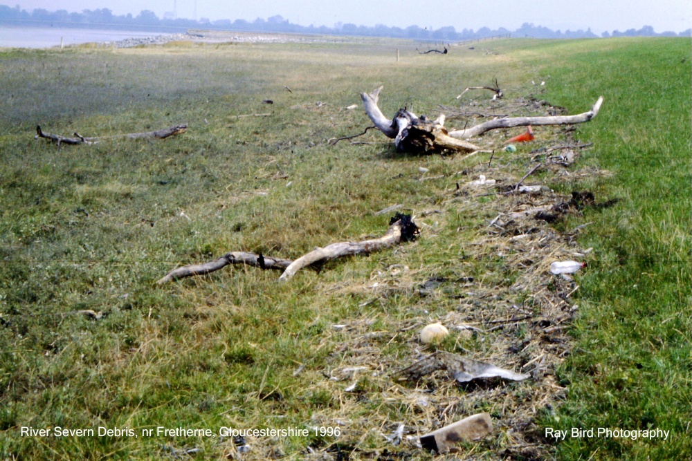 River Severn Debris, nr Fretherne, Gloucestershire 1996