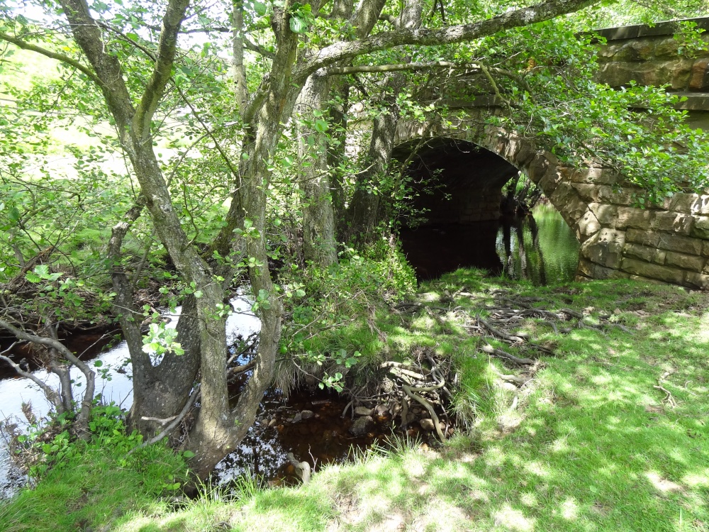 Old Bridge and Stream
