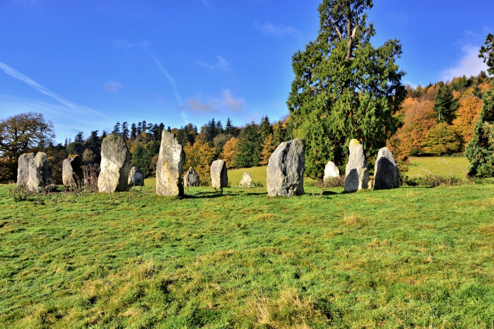 Photograph of Hascombe Stone Circle Viewed From the Northeast on Hascombe Hill