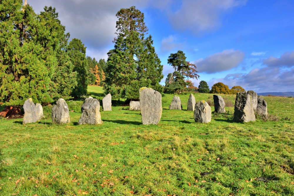 Photograph of Hascombe Stone Circle Viewed From the Southwest on Hascombe Hill
