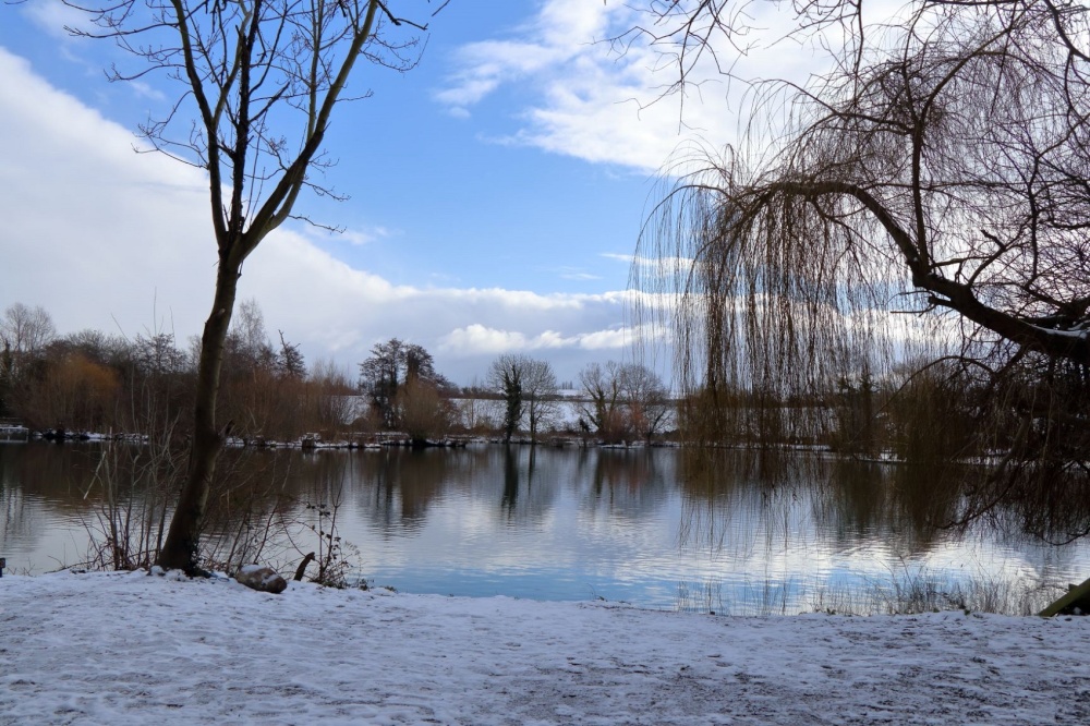 Sutton at Hone in the snow