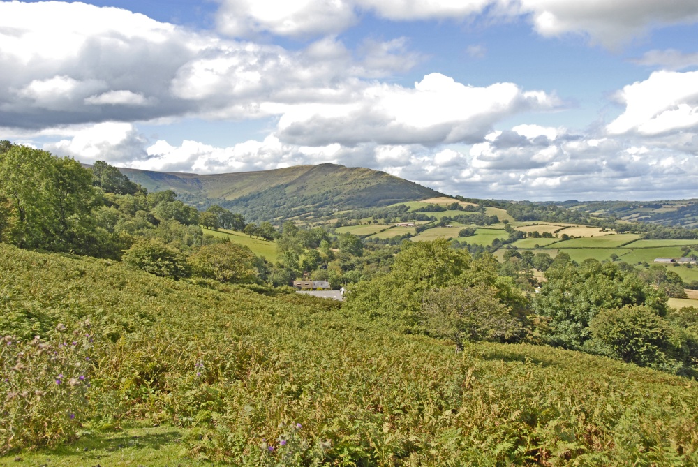 Llanthony area