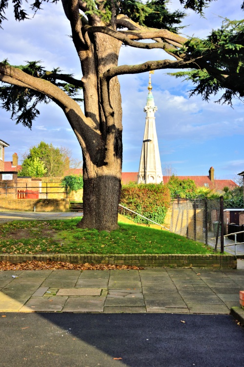 The Cedar Tree and Church Spire on Round Hill