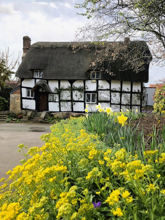 Beautiful springtime cottage
