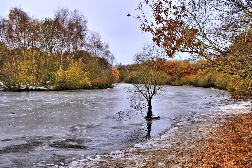 Winter View of Kingsmere