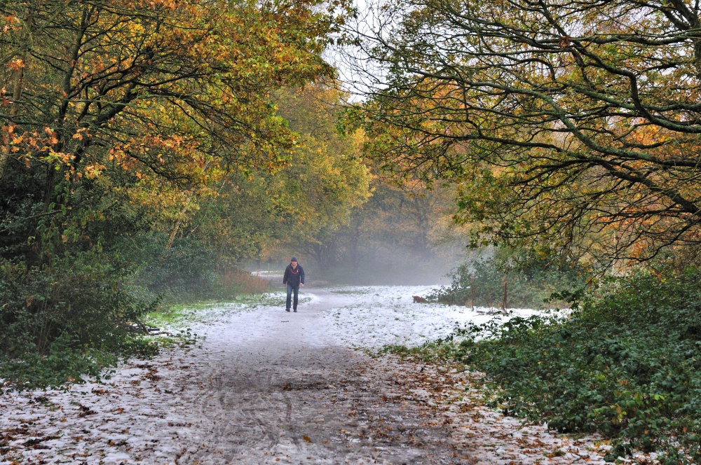 Wimbledon Common in the Mist & Snow