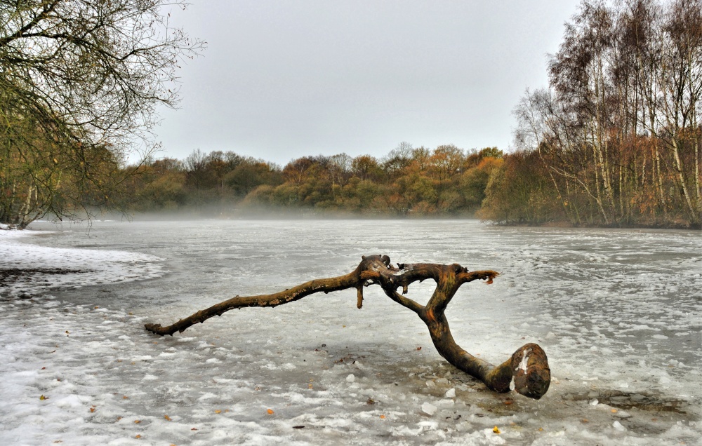 Winter View of Misty Kingsmere