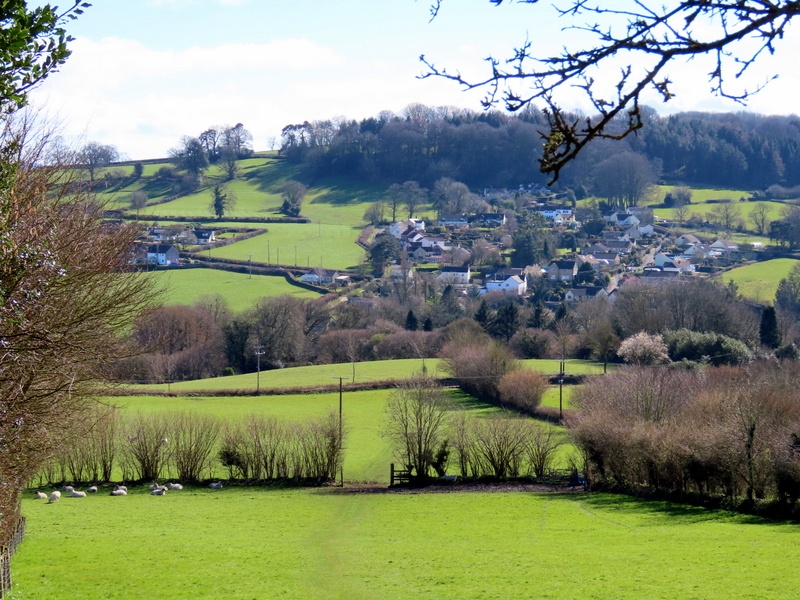 Pat Trout's Pictures of Combe St Nicholas