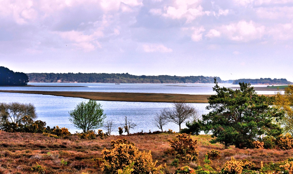 Poole Harbour View From Studland