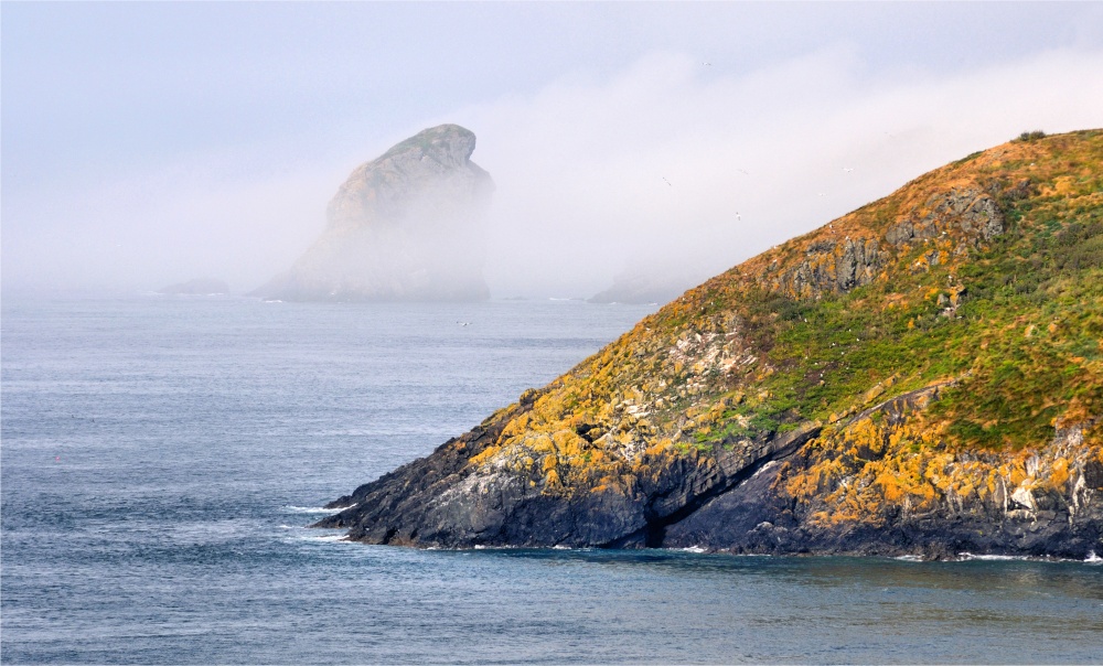 Mist on the Pembrokeshire Coast