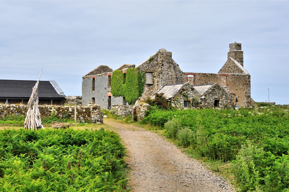 Photograph of The Old Farm on Skomer Island